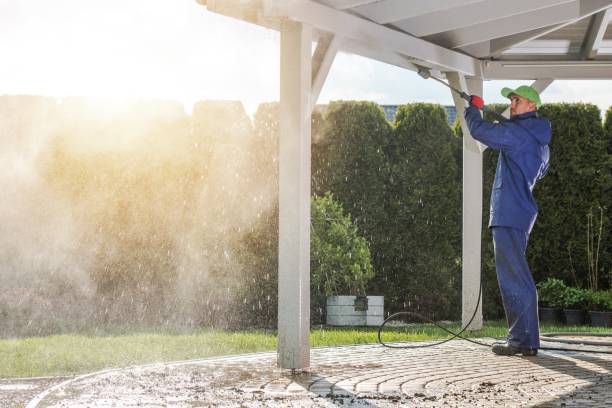 Best Sidewalk and Walkway Cleaning  in Parkers Prairie, MN