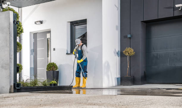 Best Rust Removal  in Parkers Prairie, MN